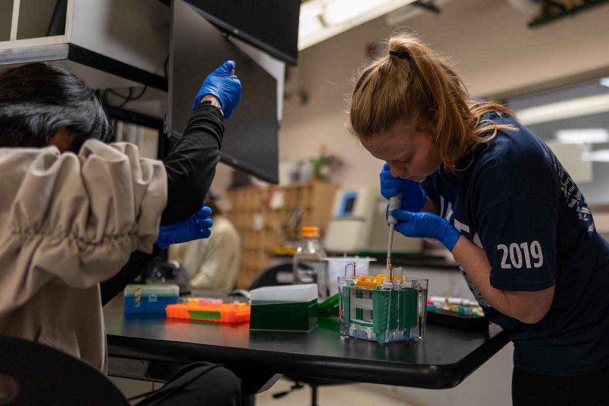 Mines students at QBE field session conducting research